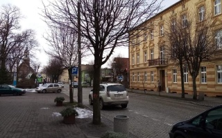 Walka o drzewa w Żninie. Chcą je wyciąć, by zbudować ścieżkę rowerową i parkingi