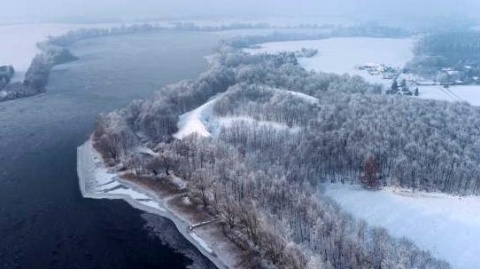 Historyczne grodzisko Goplan błyskawicznie zarasta. Leśnicy wytrwale je pielą