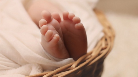 Maltretowane niemowlę opuściło szpital. Rodzice nie przyznają się do winy