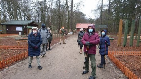 Spacerowali dla lasów. W Toruniu odsłona akcji Wspólny Las [wideo]