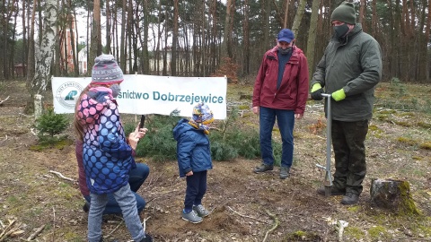 Zasadzili drzewa w Toruniu. Będzie zdrowo i pięknie [zdjęcia]