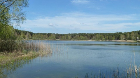 Wodny plac zabaw nad jeziorem czy inteligentne przejścia Włocławek wybiera