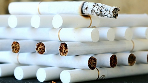 Tytoniowe podziemie w regionie. Państwo mogło na tym stracić 3 mln zł
