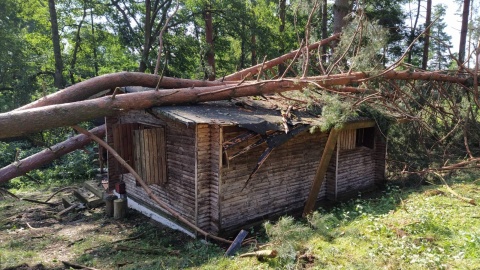 Burze i wichury w Tleniu i okolicach. Niektóre domki do rozbiórki Zakaz wstępu do lasu [zdjęcia, wideo]