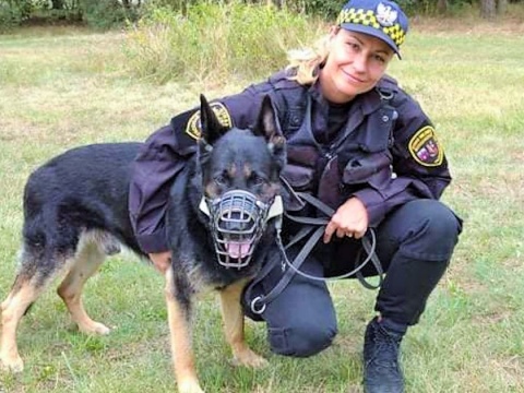 Bruno odszedł z bydgoskiej Straży Miejskiej prosto na psią emeryturę [zdjęcia]