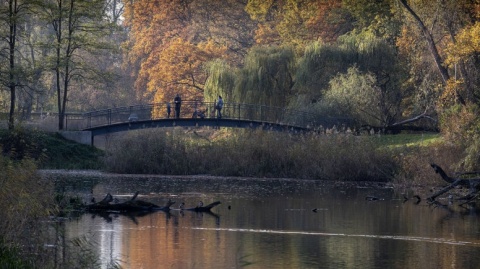 Najstarszy park w Toruniu doczeka się kolejnej rewitalizacji. Jaki jest zakres prac