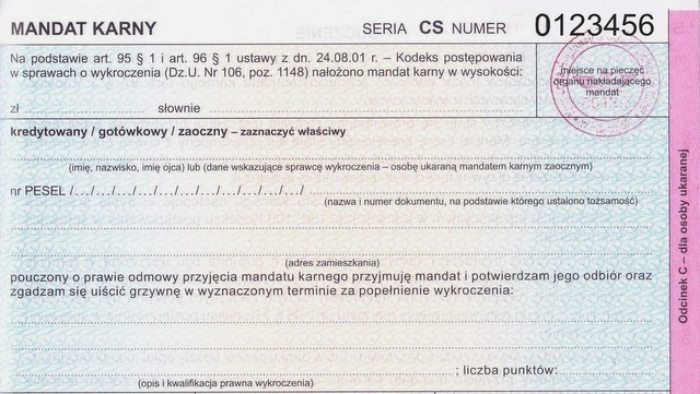 Kolejny głos w sprawie tzw. ustawy mandatowej: - Jest wbrew konstytucji