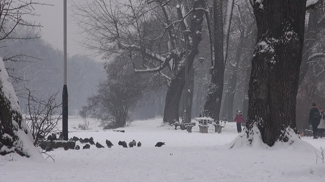 Ogłaszają konkurs na zimowe zdjęcia. A my kręcimy nad Kanałem Bydgoskim [wideo, zdjęcia]