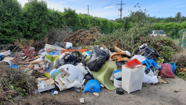Aplikacja pomaga walczyć ze śmieciami w Bydgoszczy. Gdzie się ich pozbyć