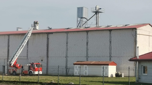 Ogień z hali przeniósł się na pole. Pożar w Dąbrowie Wielkiej pod Bydgoszczą