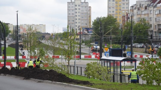 Rozbudowa ul. Kujawskiej w Bydgoszczy. Drzewa i ostatnie warstwy nawierzchni [wideo, zdjęcia]