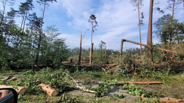 Powalone drzewa, zablokowane drogi. Trąba powietrzna przeszła koło Tlenia [zdjęcia]