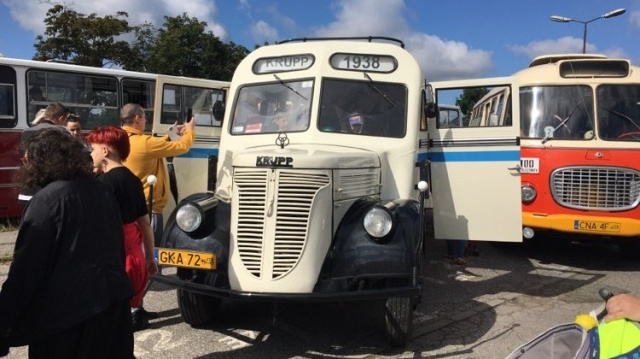 Ikarusy, jelcze, ogórki i krupp, czyli zlot zabytkowych autobusów w Bydgoszczy