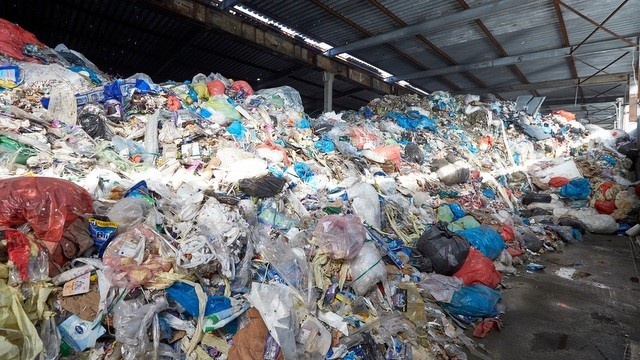 Firma podrzuciła gminie Świecie 20 tys. ton śmieci plus robactwo i zniknęła