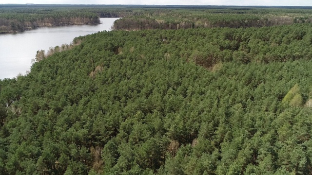 Pieszo przez Bory Tucholskie, a potem nocleg w lesie i kąpiel w basenie z lodem