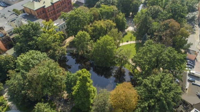 Bydgoszcz jak z piosenki Ireny Santor. Potwierdza to ogólnopolski ranking [wideo]