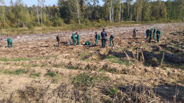 Chcą pokazać, że mogą być pożyteczni. Więźniowie sadzili las w Runowie