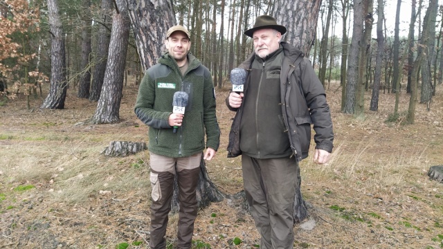 W okolicy Gródka zaczęły się badania archeologiczne. Las kryje wiele historii