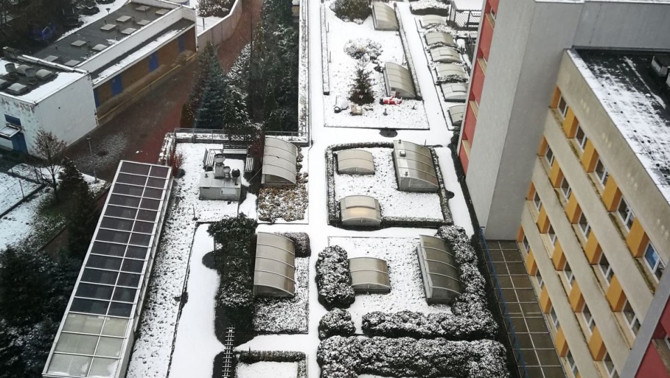 Taki widok z okna szpitala mają obecnie ciężko chore dzieci/fot. nadesłane