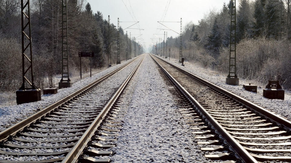W planach jest takie rozwiązanie, by pociągi pasażerskie pojechały z prędkością do 120 km/h, a towarowe do 100 km/h. Fot. Pixabay