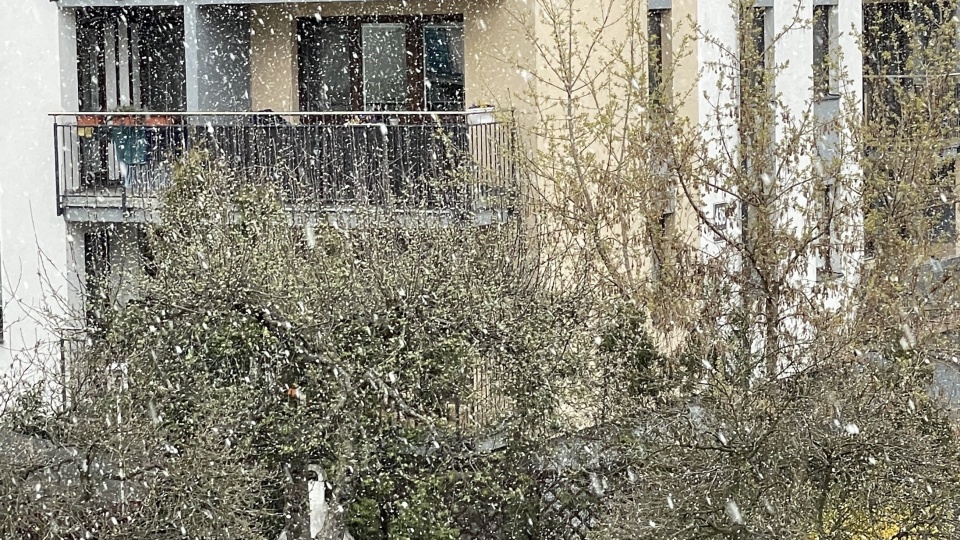 Intensywne opady śniegu w Bydgoszczy. Fot. Tomasz Kaźmierski