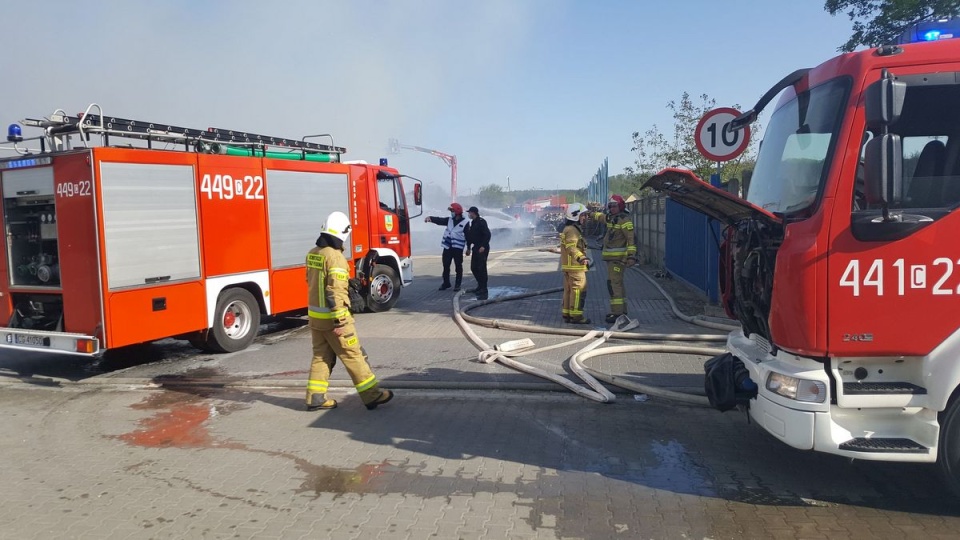 Pożar składowiska makulatury w Grudziądzu/fot. Marcin Doliński