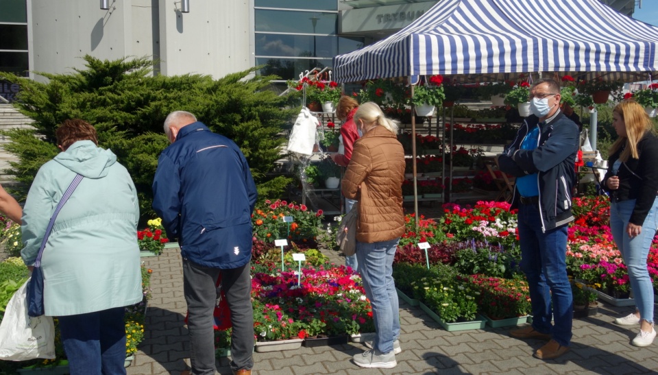 36. Kiermasz Ogrodniczy w Bydgoszcz. Fot. Andrzej Krystek