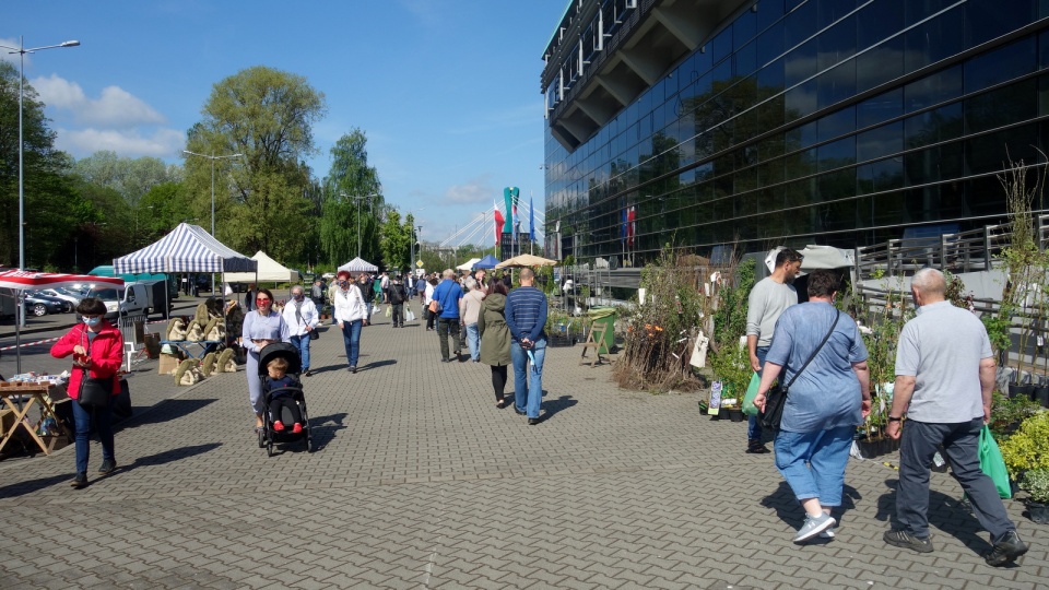 36. Kiermasz Ogrodniczy w Bydgoszcz. Fot. Andrzej Krystek