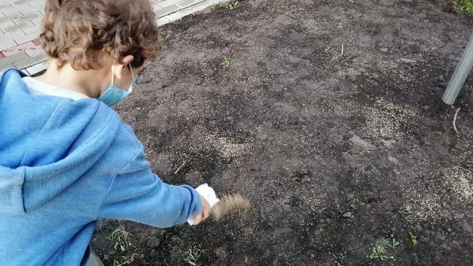 Na bydgoskim Błoniu przy ul. Kasprzaka powstała kwietna łąka/fot. Monika Siwak