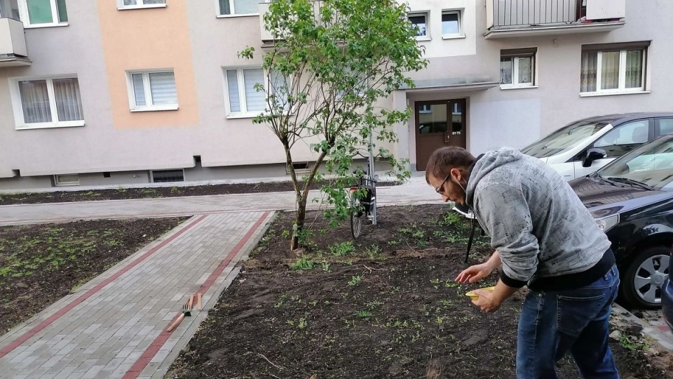 Na bydgoskim Błoniu przy Na bydgoskim Błoniu przy ul. Kasprzaka powstała kwietna łąka/fot. Monika Siwakul. Kasprzaka powstała kwietna łąka/fot. Tatiana Adonis