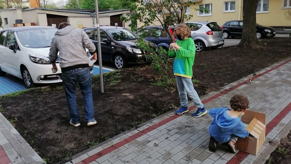 Na bydgoskim Błoniu przy ul. Kasprzaka powstała kwietna łąka/fot. Monika Siwak