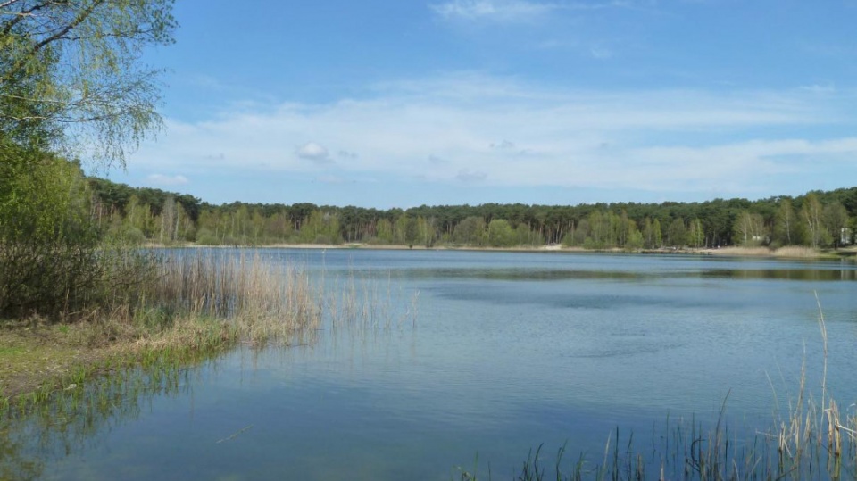 Jezioro Czarne we Włocławku/fot. Wikimapia.pl