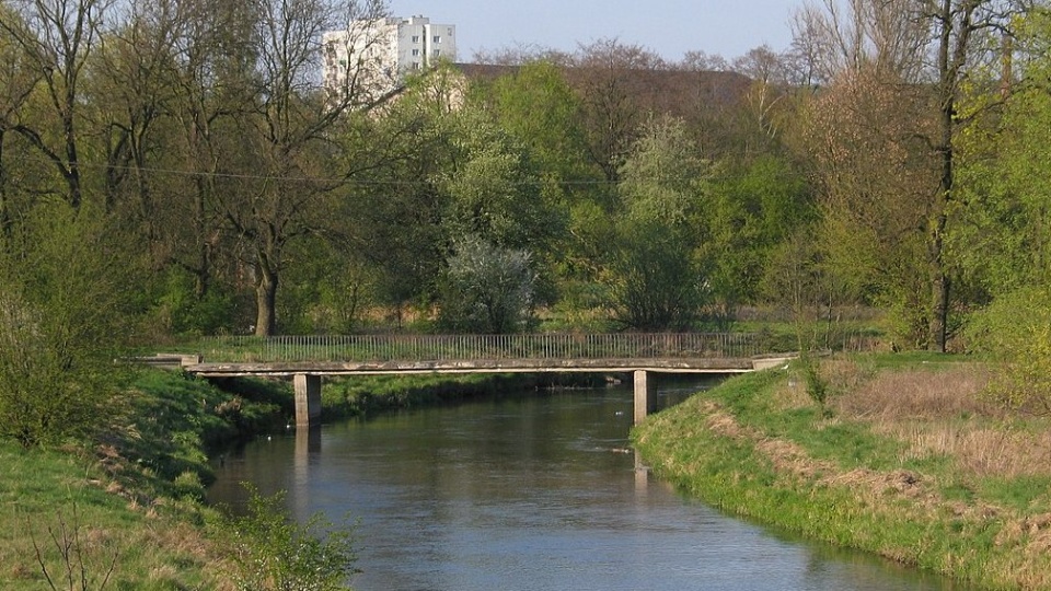 Rzeka Zgłowiączka we Włocławku/fot. Wikipedia