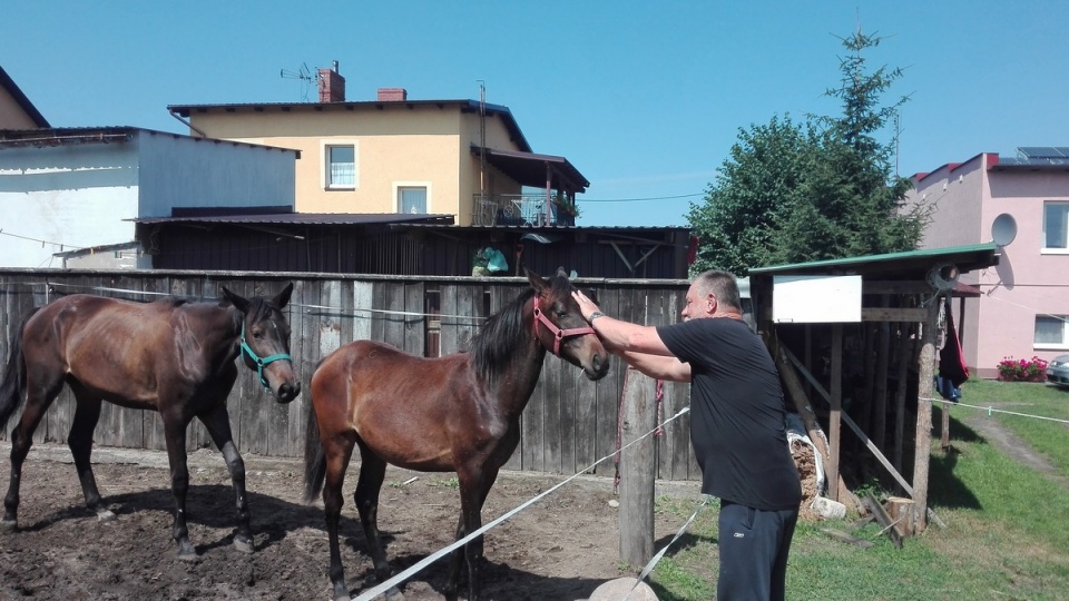 „Konie i Kaskaderzy" - to nazwa tegorocznej edycji Pikniku Koniarzy, który w niedzielę (1 sierpnia) odbędzie się w Śliwicach w powiecie tucholskim/fot. Maciej Wilkowski