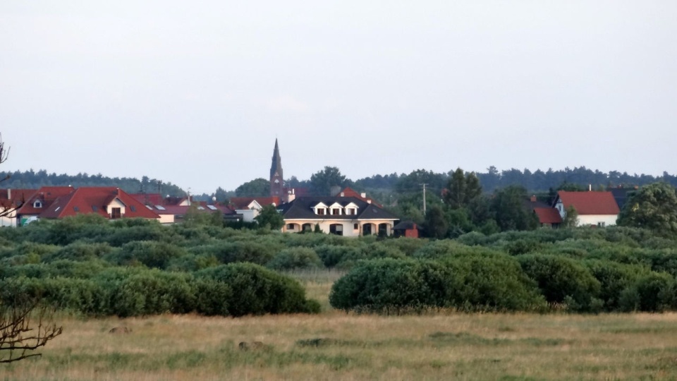 Co z budową drogi z Zamościa do Łochowa - pyta sołtys Zamościa - Andrzej Sobkowski. Chodzi o 6 - kilometrowy odcinek drogi powiatowej łączącej Zamość z Łochowem. Fot. Wikipedia/Pit1233