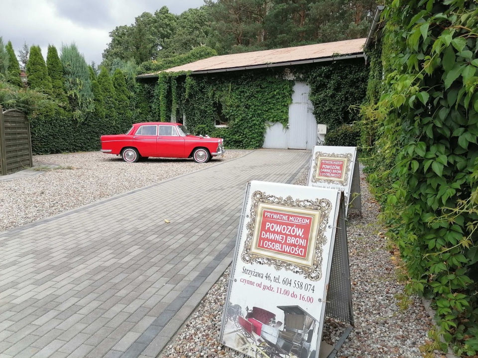 XV-wieczny manuskrypt Psalmu Dawida, 300-letnia rzeźba św. Nepomucena z ogrodu rolnika, sanie i angielskie auto premiera Jaroszewicza można oglądać w Muzeum Osobliwości w Strzyżawie. Fot. Monika Siwak