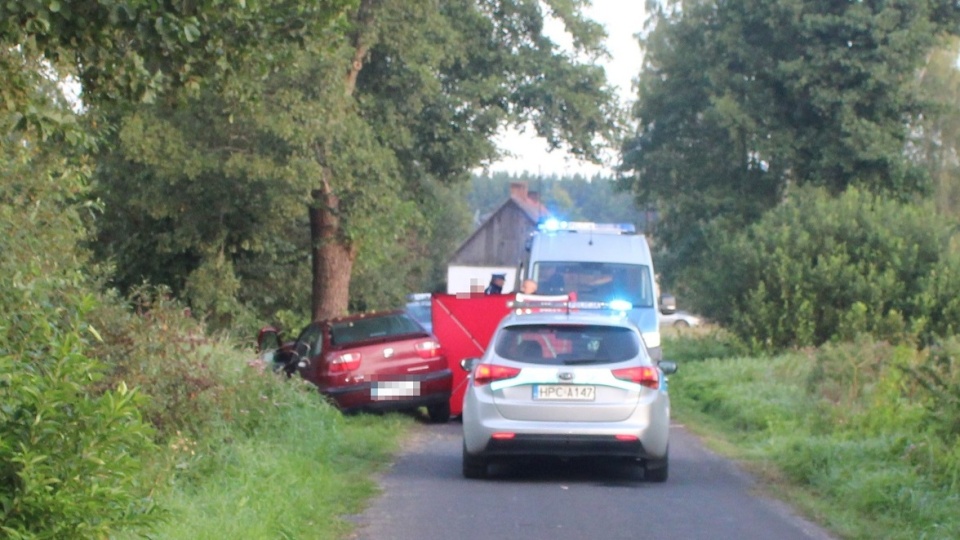 W wyniku uderzenia w drzewo kierująca seatem 33-latka poniosła śmierć na miejscu/fot. materiały policji