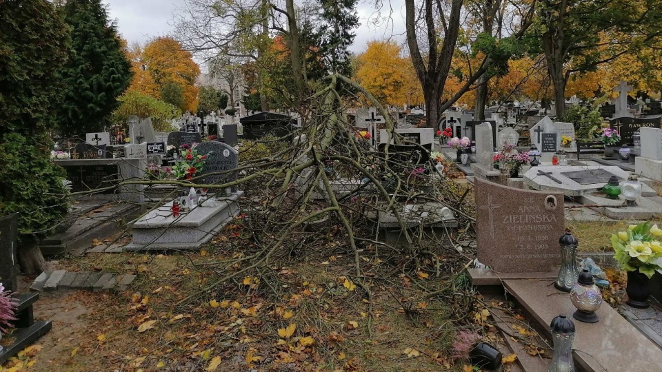 Powalone drzewa na cmentarzu przy ul Artyleryjskiej w Bydgoszczy