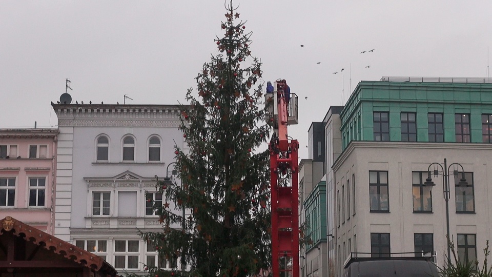 Na bydgoskim Stary Rynek stanęło już świąteczne drzewko (jw)