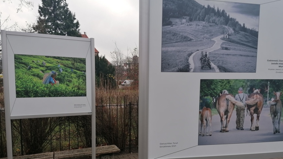 Pokonkursowa wystawa w parku Muzeum Etnograficznego w Toruniu/fot. Iwona Muszytowska-Rzeszotek