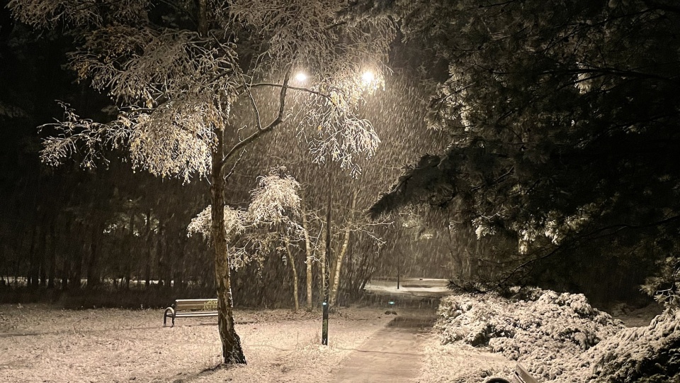 Zgodnie z ostrzeżeniami Instytutu Meteorologii i Gospodarki Wodnej pojawiły się intensywne opady śniegu. Fot. Tomasz Kaźmierski