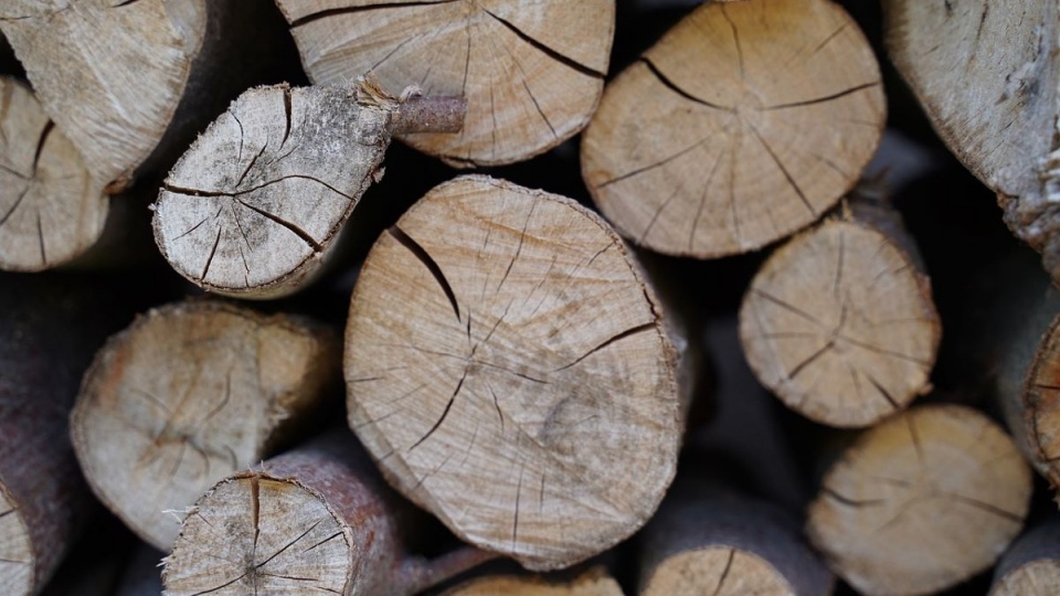 Usuwanie kłód drewna potrwa około trzech godzin/fot. Pixabay