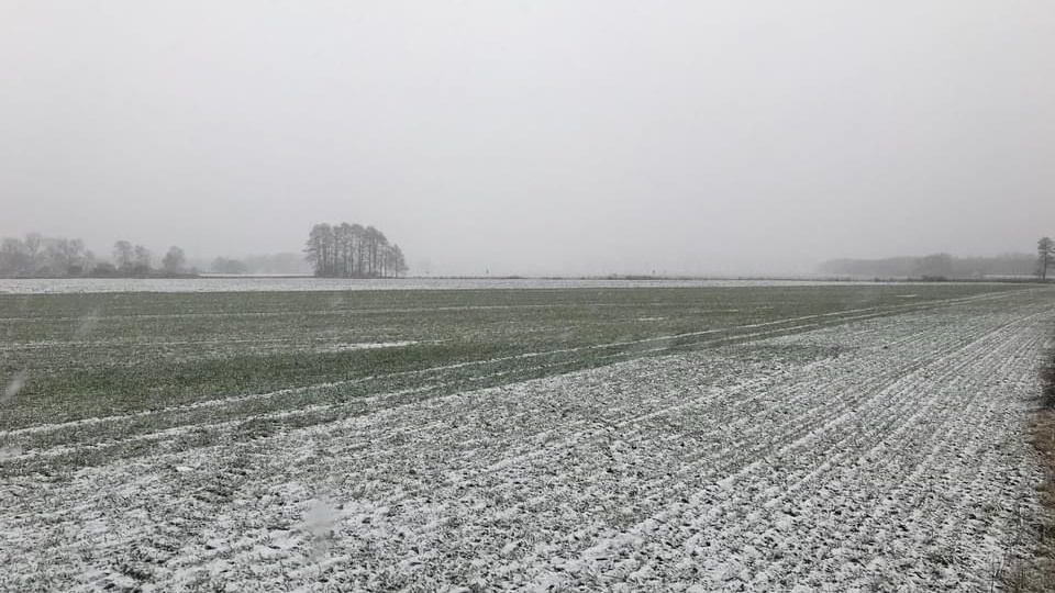 Prezes i dwóch członków zarządu Grupy Producentów Rolnych sp. z o.o. z Cichoradza usłyszeli zarzuty ws. oszustwa na szkodę kontrahentów spółki. Fot. Tomasz Kaźmierski