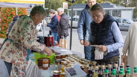 Pierwsza edycja toruńskiego jarmarku wielkanocnego./ fot. Mikołaj Kuras dla UMWKP