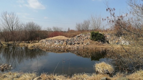 Ogród botaniczny Krajowego Centrum Roślinnych Zasobów Genowych w bydgoskim Myślęcinku/fot. mg