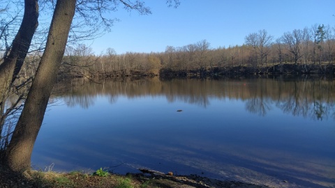 Gródek w powiecie świeckim będzie miał nowoczesny ośrodek wypoczynkowy/fot. Marcin Doliński