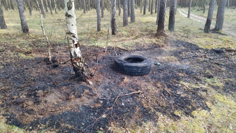 Zdarzenie na dk 10 koło Solca Kujawskiego. Fot. OSP Solec Kujawski