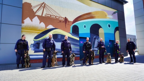 Dzięki uprzejmości PESA Bydgoszcz policjanci wraz z psami ćwiczyli wyszukiwanie zapachów materiałów wybuchowych i narkotyków w wagonach pociągów oraz innych pomieszczeniach./fot. Policja