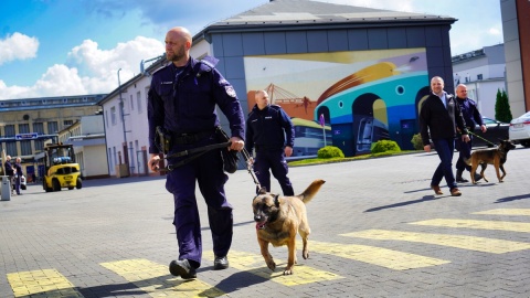 Dzięki uprzejmości PESA Bydgoszcz policjanci wraz z psami ćwiczyli wyszukiwanie zapachów materiałów wybuchowych i narkotyków w wagonach pociągów oraz innych pomieszczeniach./fot. Policja