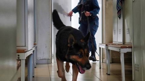 Dzięki uprzejmości PESA Bydgoszcz policjanci wraz z psami ćwiczyli wyszukiwanie zapachów materiałów wybuchowych i narkotyków w wagonach pociągów oraz innych pomieszczeniach./fot. Policja